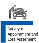 Surveyor Appointment and Loss Assesment
